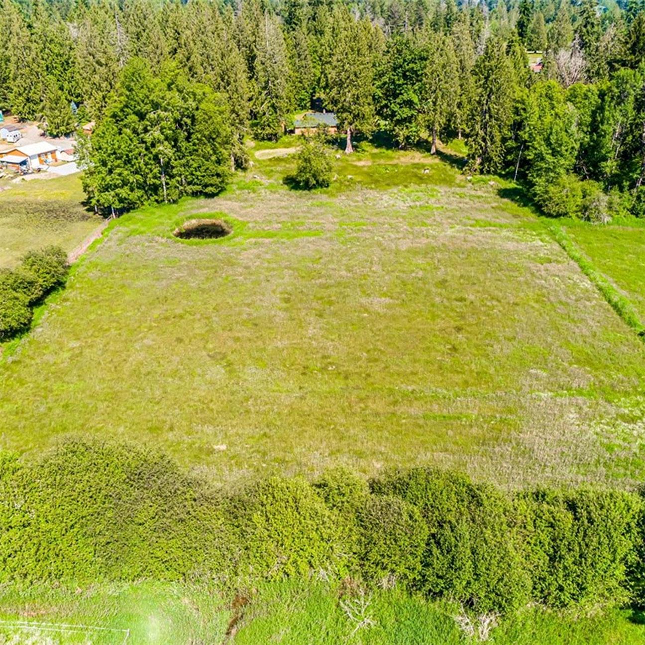 Secluded 5-Acre Dual Residence in Graham — photo 2