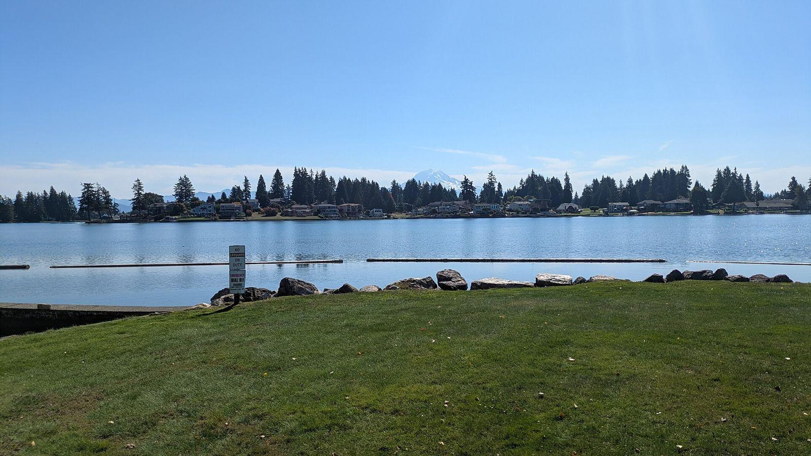 Calm lake shoreline with grass and a clear blue sky at Lake Tapps
