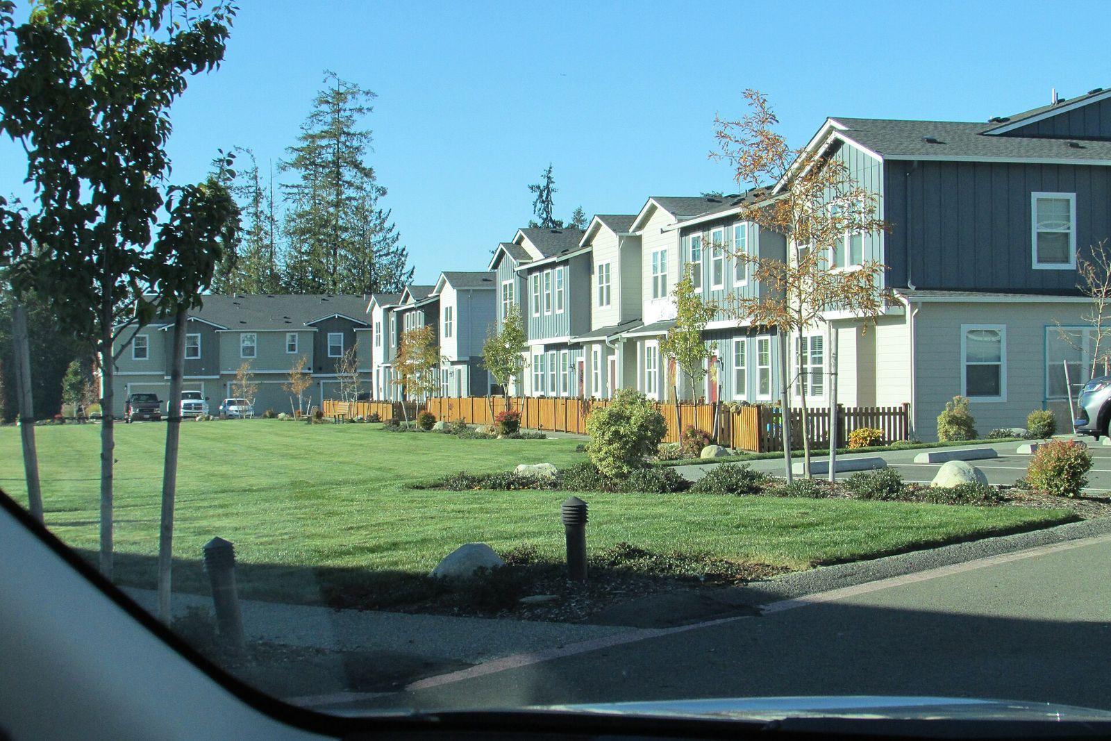 Row of newer attached homes facing a green lawn on a sunny day in Tehaleh