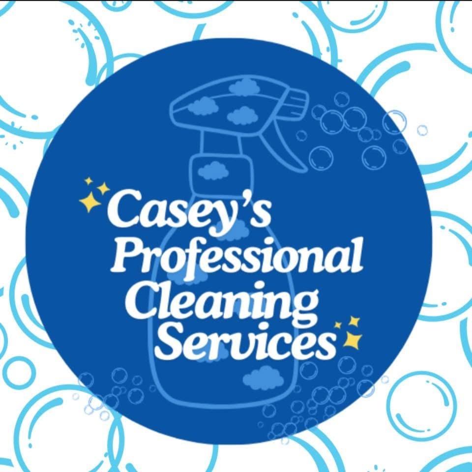 Casey's Professional Cleaning — photo 2